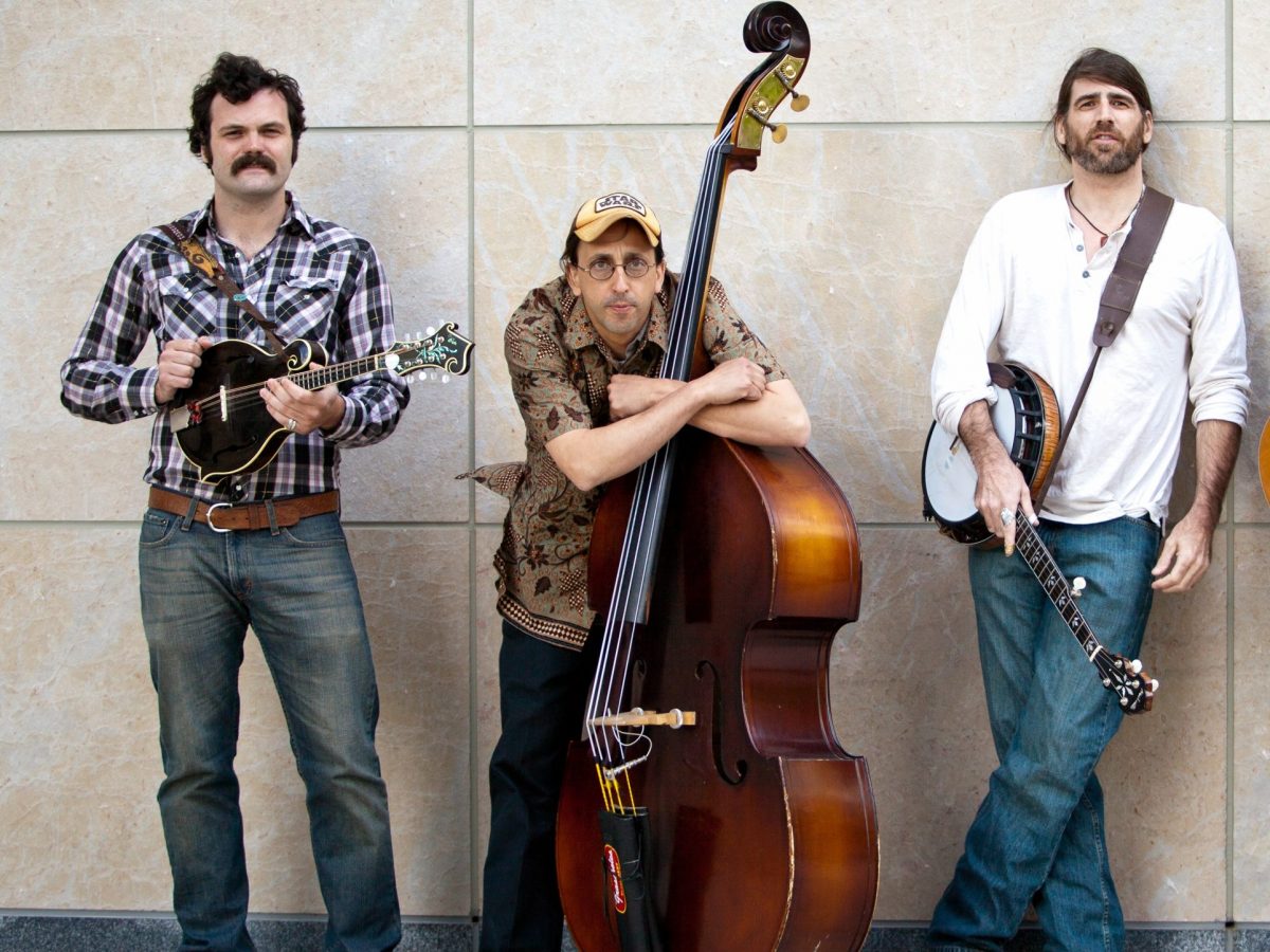 Hot Day at the Zoo is “Not Exactly Bluegrass” - American Noise